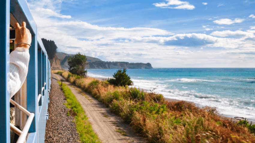 travel business development