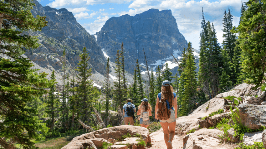 Group hiking through the forest